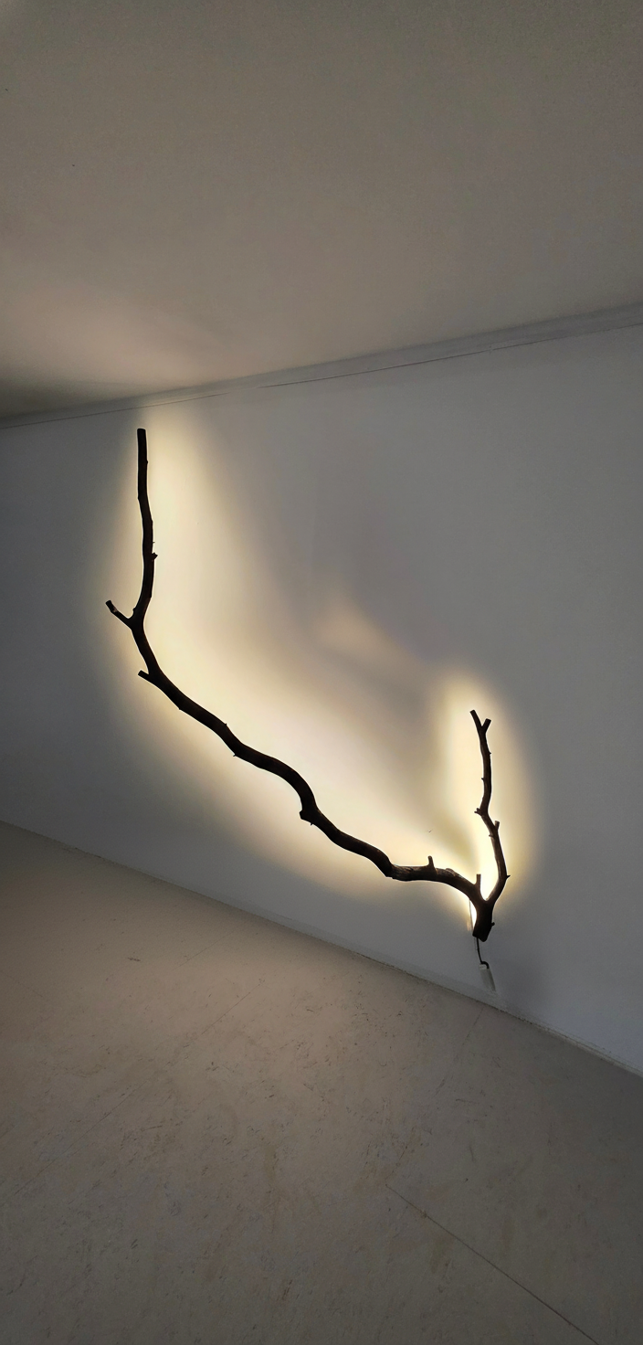 Storm-fallen oak, warm branch light